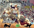 CD ASANHADO's SETANEJO v.8